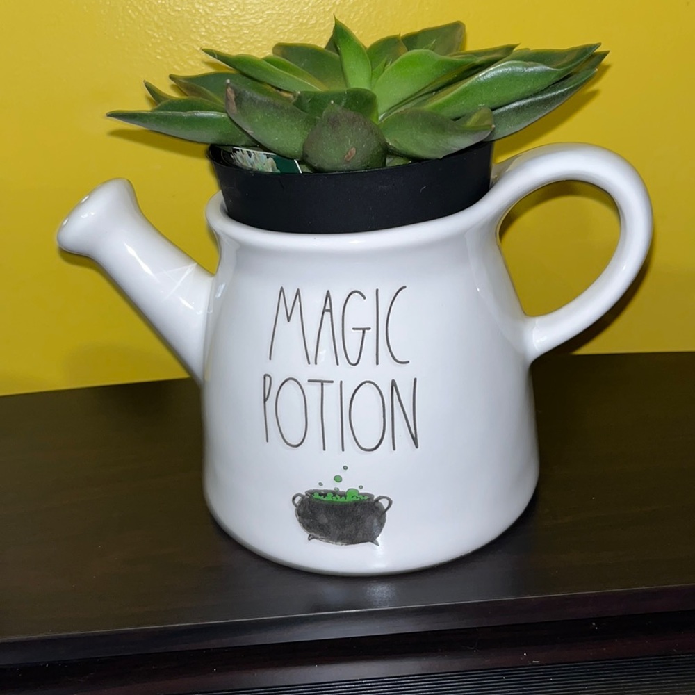 Rae Dunn  Magic Potion Watering can